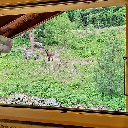 Apartman La Patrouille Des Glaciers By Interhome Arolla